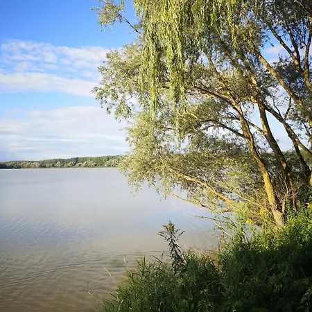 Szekely Fogado * Galambok